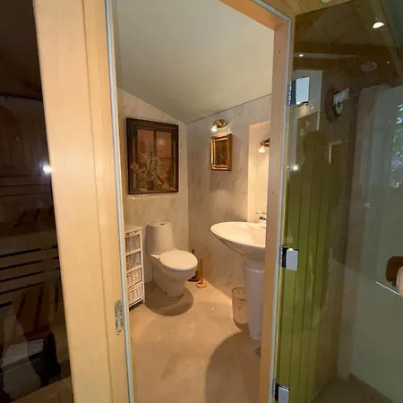 Villa Art & Relaxation Manor Spa, Billiards & Pinball *